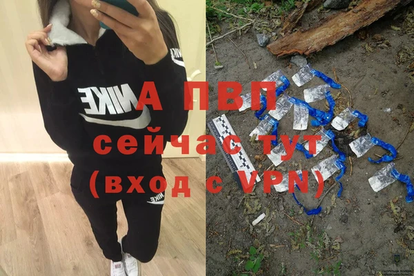 PSILOCYBIN Белоозёрский