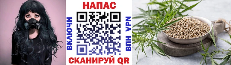 shop как зайти  Верещагино  Шишки марихуана ГИДРОПОН 